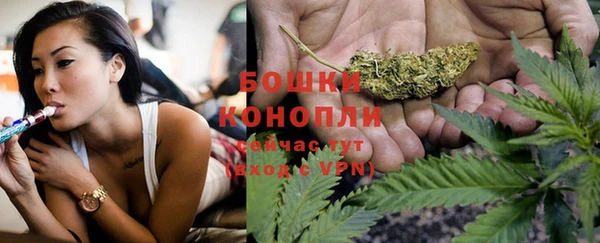 молекула духа Баксан