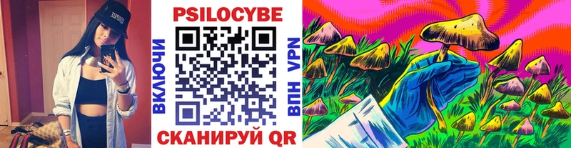 Псилоцибиновые грибы Psilocybe  Новоалександровск 